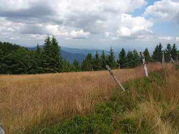 Le Grand Ballon (Frankrijk)